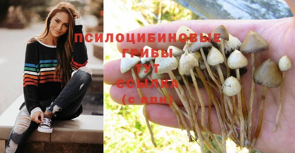спиды Алзамай
