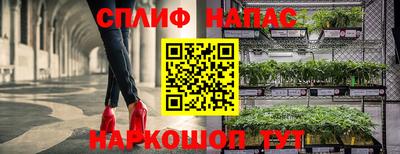 ПСИЛОЦИБИНОВЫЕ ГРИБЫ Мариинск