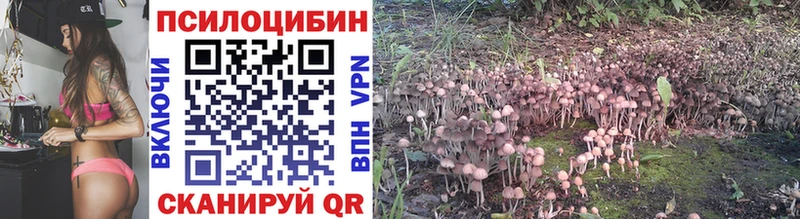Галлюциногенные грибы Magic Shrooms Кизляр